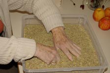 Ergotherapie 100383, Kitzingen